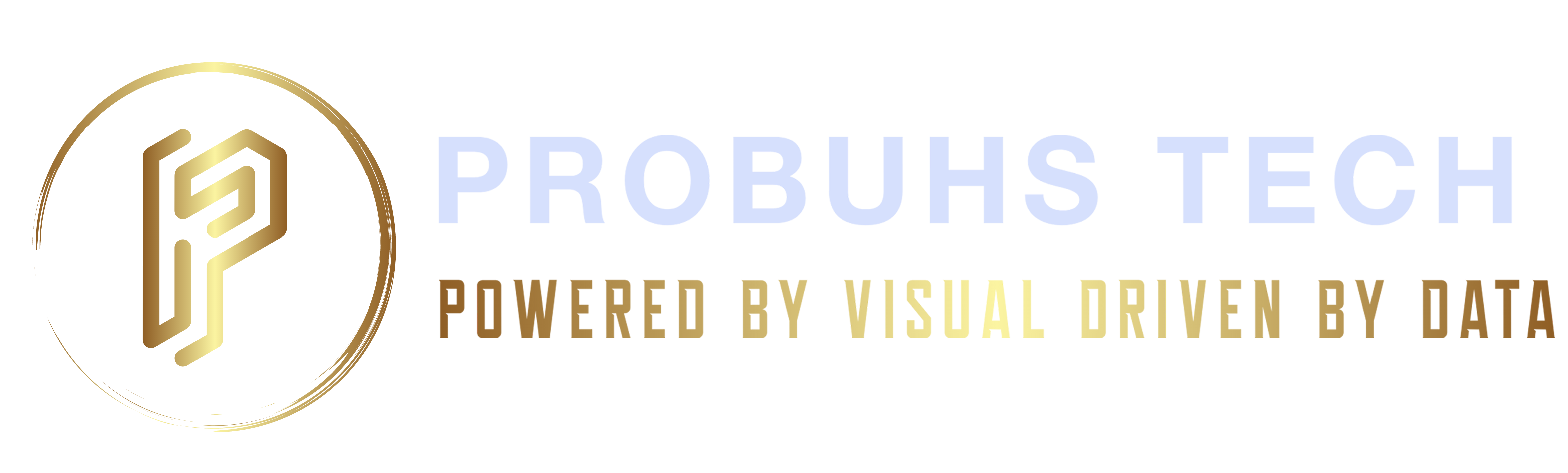 Probuhstech - Where IT Skills and Business Come Together